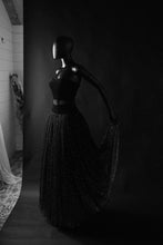 Vintage 1950s Velvet Tulle Glitter Ballgown Dress