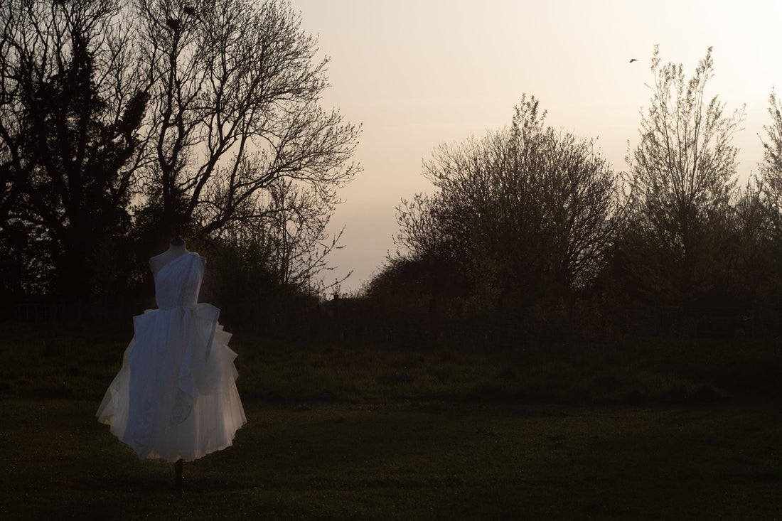 white dress in landscape of trees