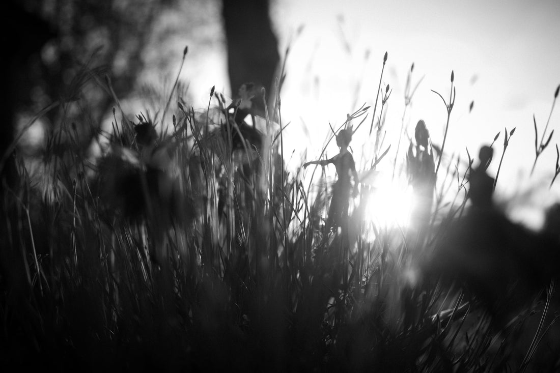 New Collection Coming Soon ...