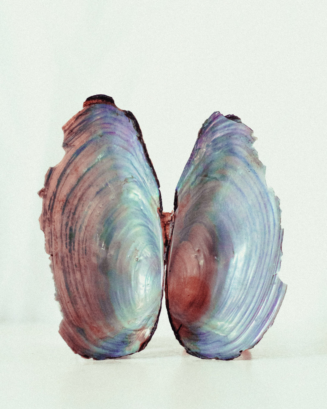 From the Source - Three Images