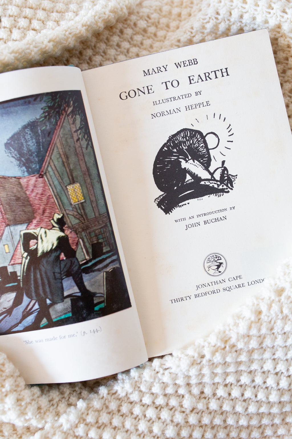 Gone to Earth by Mary Webb - Illustrated Book