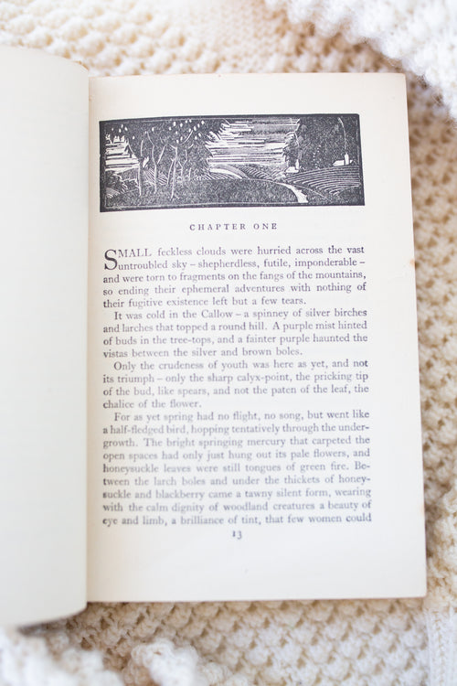 Gone to Earth by Mary Webb Book