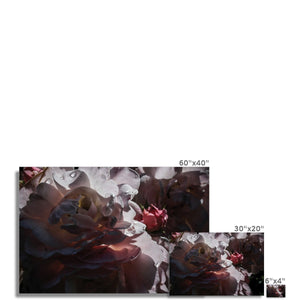 Roses After the Summer Rain Fine Art Print