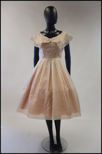 Vintage 1950s Blush Silk Organdie Dress