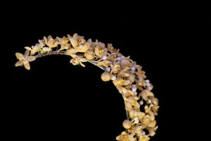 Vintage 1930s Wax Flower Crown