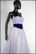 Vintage 1950s Blue Flocked Organza Gown