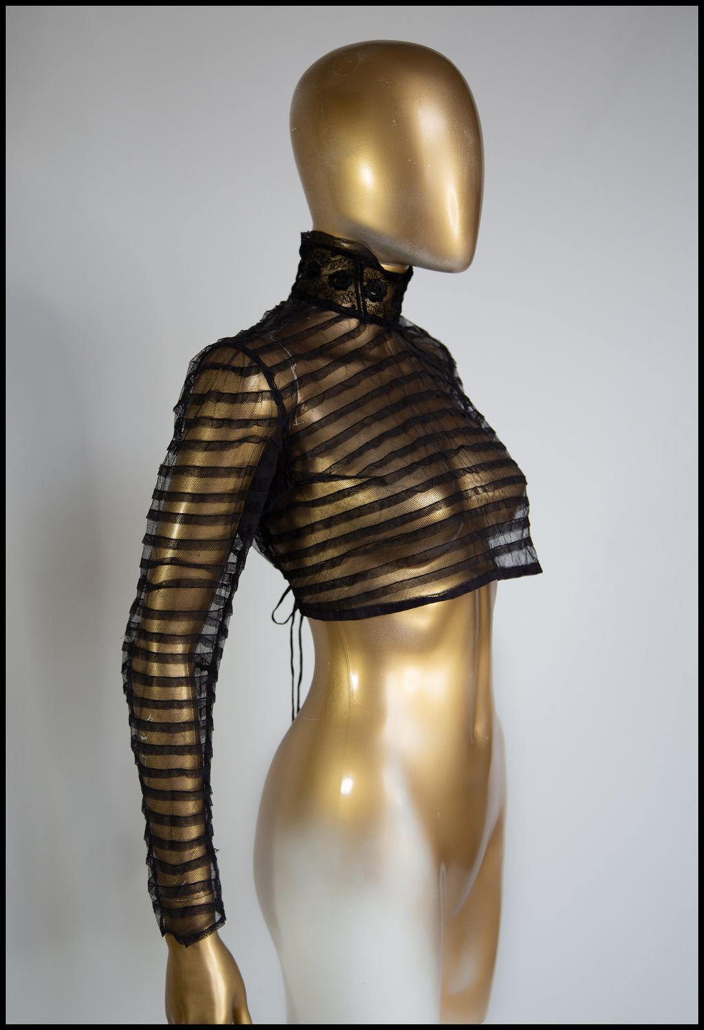 Antique Victorian Stripe Tulle Bodice Top