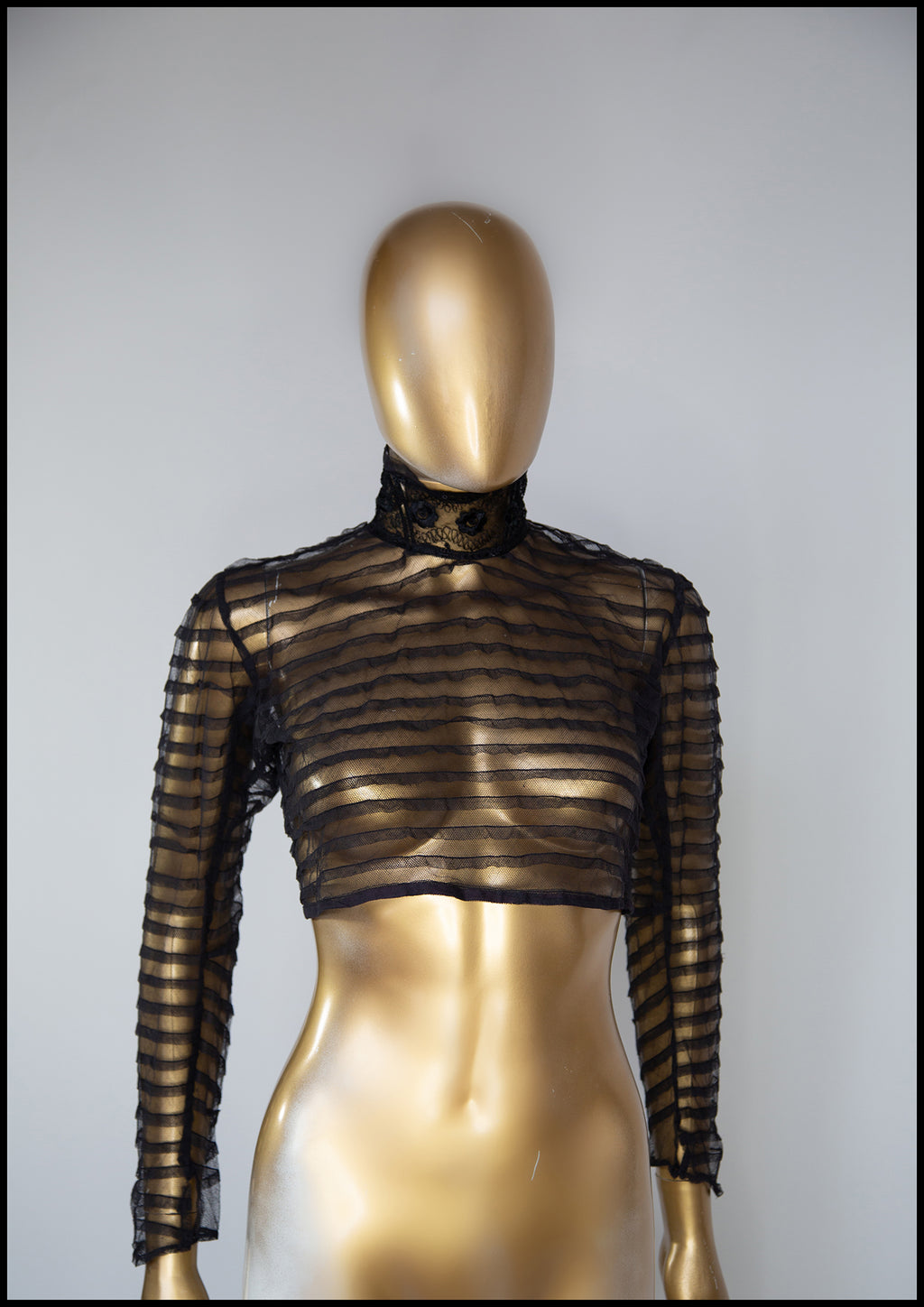 Antique Victorian Stripe Tulle Bodice Top