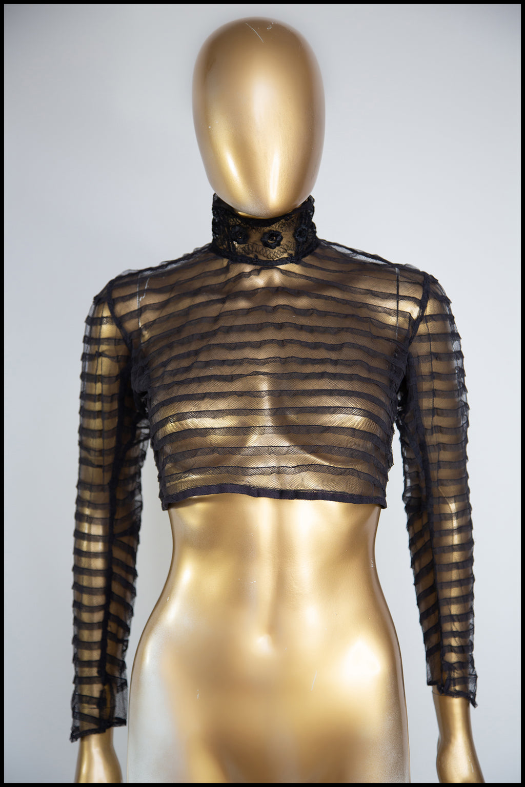 Antique Victorian Stripe Tulle Bodice Top