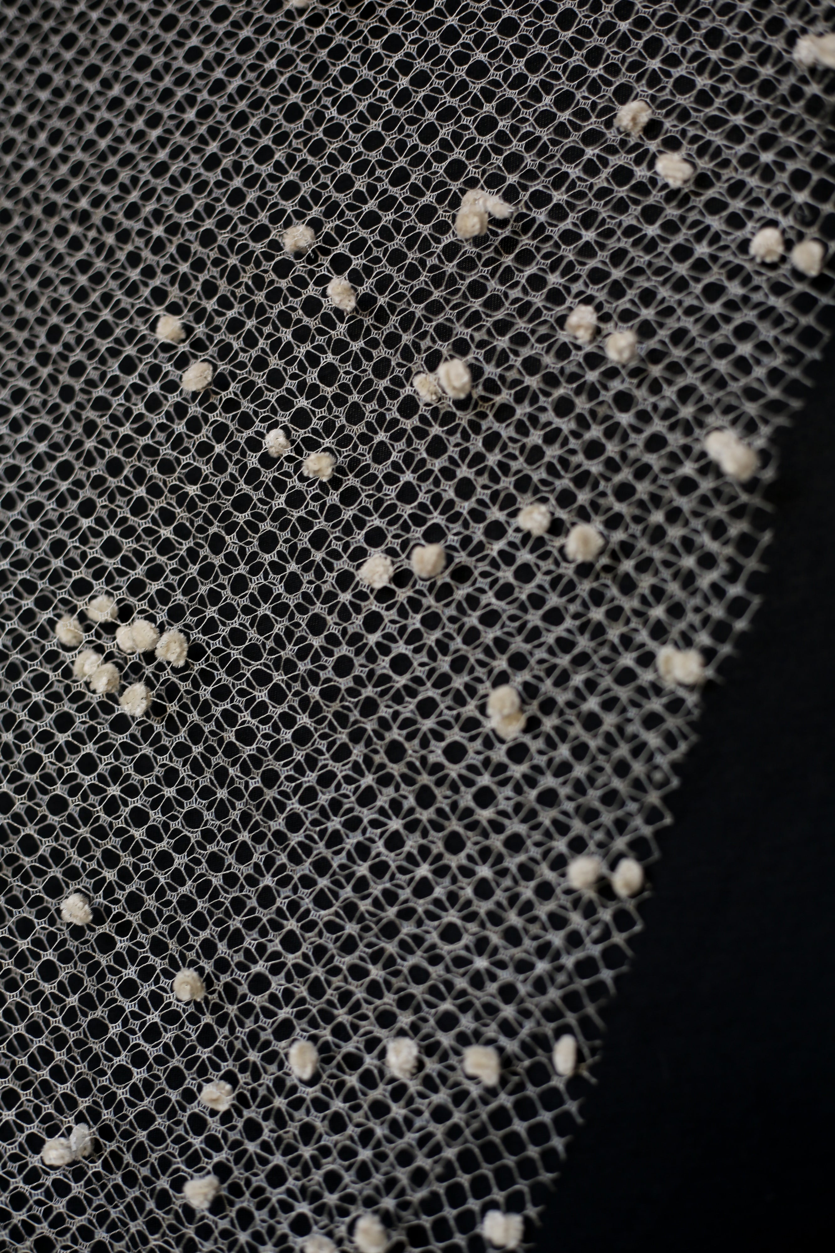 Vintage 1930s Velvet Dot Wedding Veil