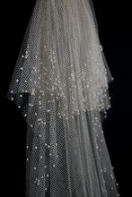 Vintage 1930s Velvet Dot Wedding Veil