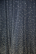 Vintage 1950s Velvet Tulle Glitter Ballgown Dress