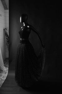 Vintage 1950s Velvet Tulle Glitter Ballgown Dress