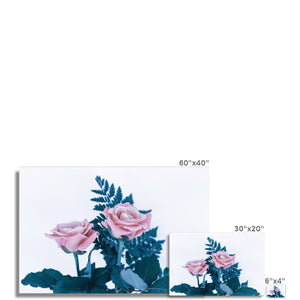Two Roses Fine Art Print