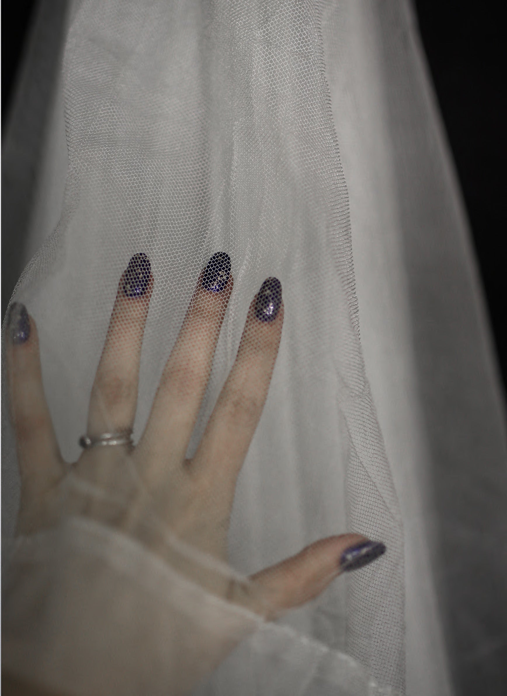 Vintage Ivory Lace Edge Wedding Veil