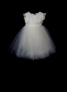 Daisy Lace and Tulle Ivory Flower Girl Dress