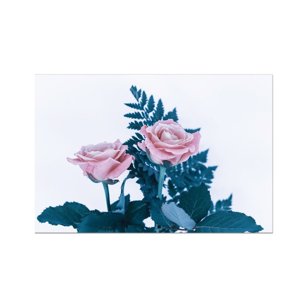 Two Roses Fine Art Print