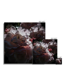 Roses After the Summer Rain Fine Art Print