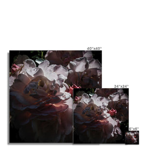 Roses After the Summer Rain Fine Art Print