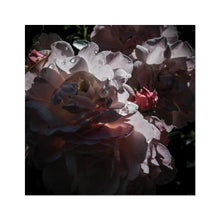 Roses After the Summer Rain Fine Art Print
