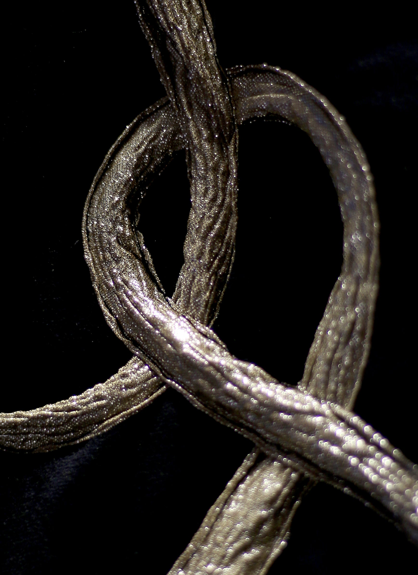 Snake Charmer Black Velvet Wrap